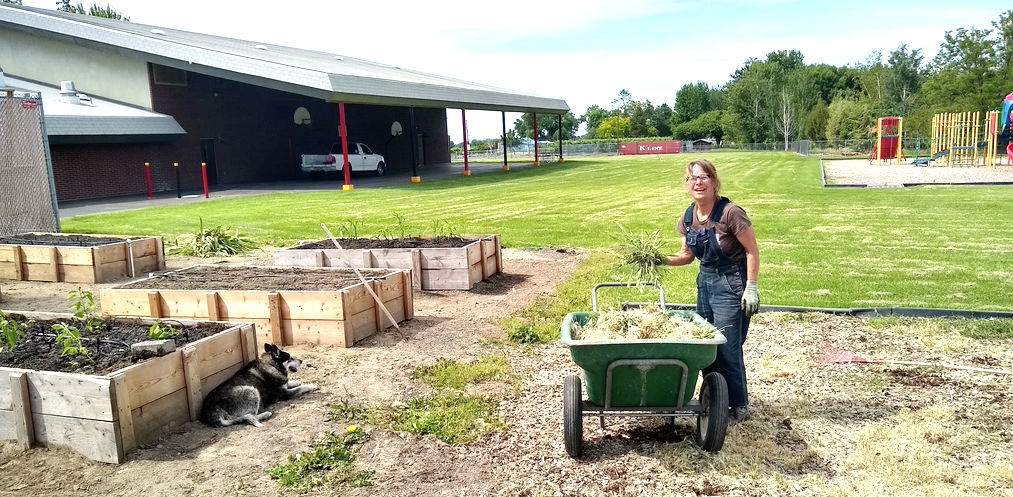 Farm to school